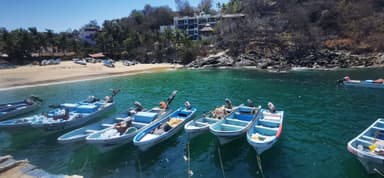 Des bateaux de pêche amarrés dans une eau turquoise sous un ciel ensoleillé.