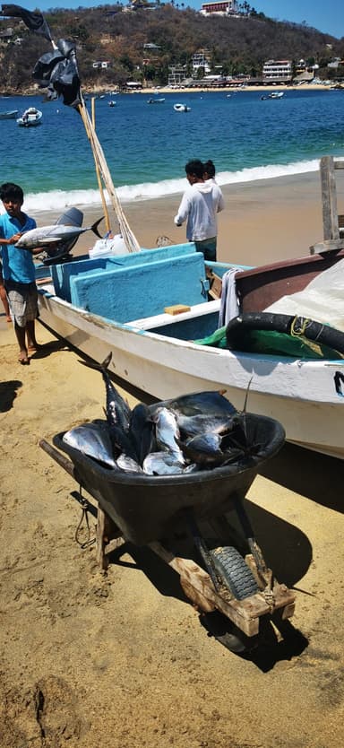 Des poissons frais sur la plage avec des pêcheurs au loin.