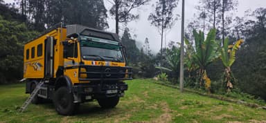 Un camion jaune sur un terrain verdoyant avec des plantes tropicales.