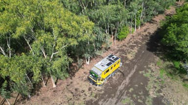 Un véhicule jaune stationné dans une forêt verdoyante.