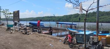 Une scène de pêche au bord de l'eau avec des bateaux et des arbres.