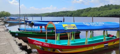 Des bateaux colorés sur une rivière entourée de verdure.