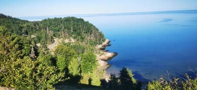 Une vue panoramique de la côte avec des arbres et l'eau calme.