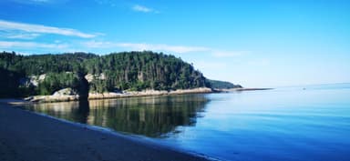 Une plage tranquille avec des arbres et de l'eau calme.