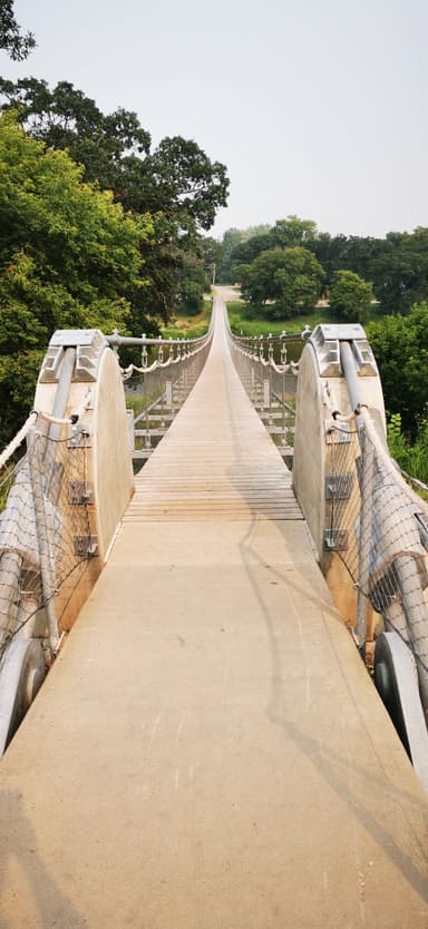 Un pont suspendu au milieu de la nature verdoyante.