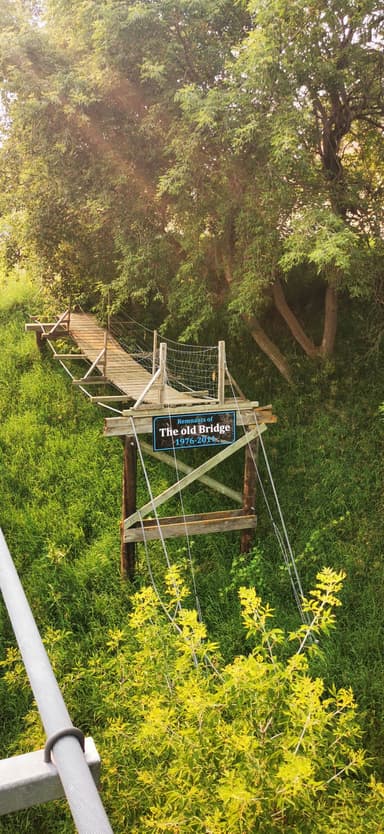 Un pont en bois entouré de verdure à Manitoba.