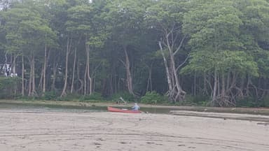 Un homme dans un bateau rouge sur une plage entourée d'arbres verts.
