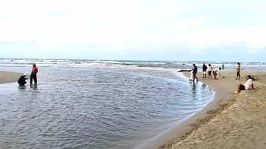 Une plage avec des gens se baignant et jouant dans l'eau.