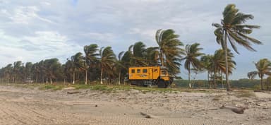 Un véhicule jaune sur une plage avec des palmiers agités par le vent.