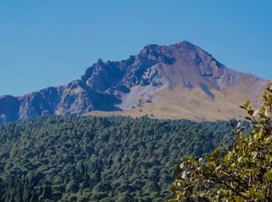 A mountain peak surrounded by lush green forest under a clear blue sky.