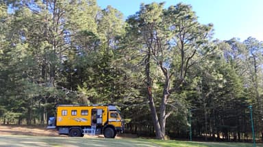 A yellow vehicle parked near tall trees in a forested area.