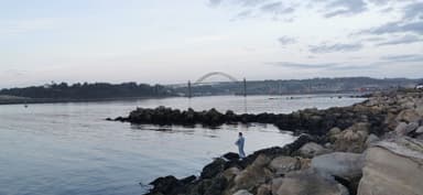 Un homme pêche près de l'eau à Newport, États-Unis, avec un pont en arrière-plan.