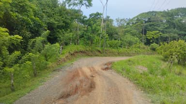 Un chemin sinueux entouré de verdure à Paquera.