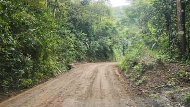 Un chemin de terre entouré de verdure à Paquera.