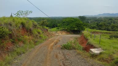Un chemin de terre entouré de verdure à Paquera.