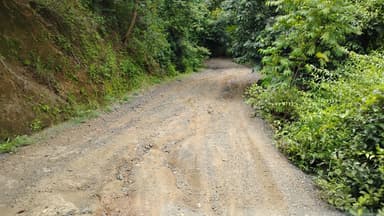 Un chemin de terre entouré de verdure à Paquera.