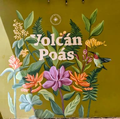 Une peinture murale colorée de fleurs et un colibri.