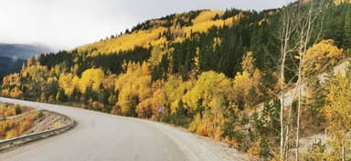 Une route sinueuse entourée d'arbres aux couleurs d'automne.