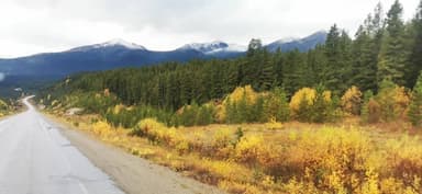 Une route bordée d'arbres et de montagnes sous un ciel nuageux au Yukon.