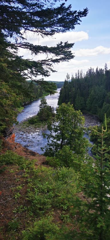 Une vue d'une rivière entourée d'arbres et de collines verdoyantes.