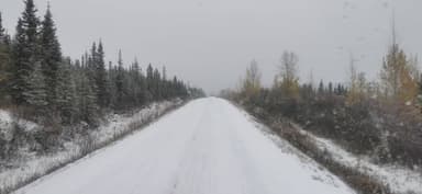 A snowy road flanked by evergreen trees and autumn foliage.