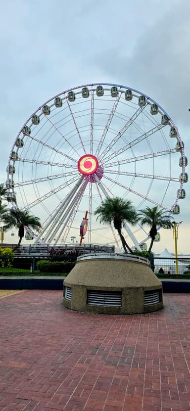 Une grande roue avec des palmiers au premier plan sous un ciel nuageux.