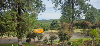 Un paysage verdoyant avec un camion orange au milieu des arbres.