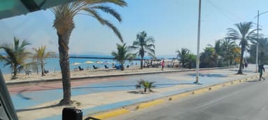 Plage avec des palmiers et des parasols au bord de l'eau.