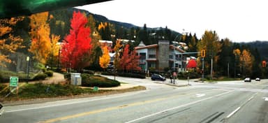 Un paysage d'automne avec des arbres colorés et un bâtiment moderne.
