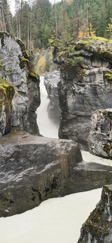 Une cascade à travers des rochers dans une forêt d'automne.