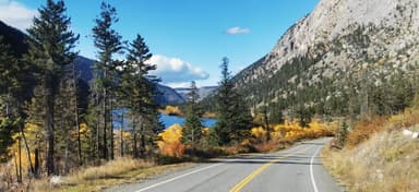Une route sinueuse entourée d'arbres et d'un lac en arrière-plan.