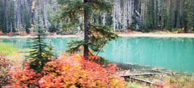Un lac turquoise entouré d'arbres et de feuillage automnal.
