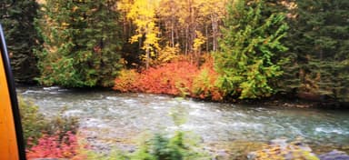 Une rivière entourée d'arbres aux couleurs d'automne.
