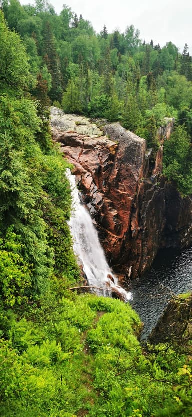 Une cascade entourée de verdure dans une forêt.