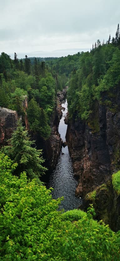 Un paysage de canyon verdoyant avec une rivière au centre.