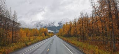 Une route entourée d'arbres aux feuilles dorées et de montagnes enneigées sous un ciel nuageux.