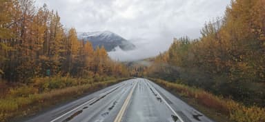 Une route entourée d'arbres aux couleurs d'automne sous un ciel nuageux.
