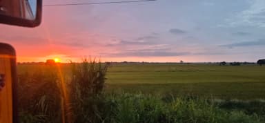 Un coucher de soleil sur des champs verdoyants.