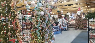 Un magasin décoré pour les fêtes avec des arbres et des ornements.