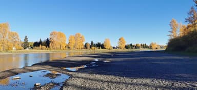 Un paysage d'automne avec un ruisseau et des arbres jaunes.