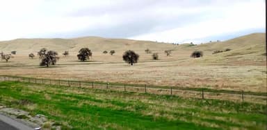 Un paysage de collines sèches avec des arbres éparpillés sous un ciel nuageux.