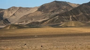 Un paysage désertique avec des montagnes en arrière-plan et des oiseaux au sol.