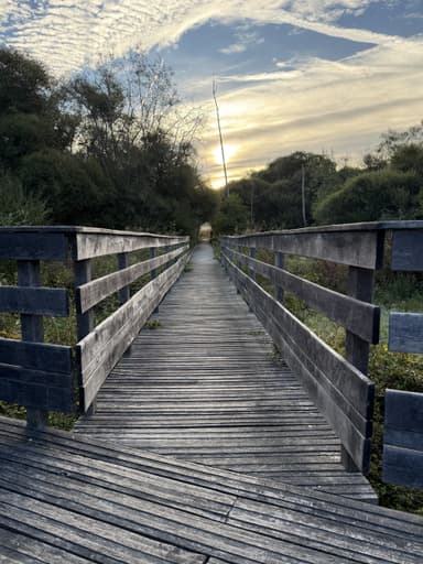 Un chemin en bois menant à un coucher de soleil à La Gacilly.