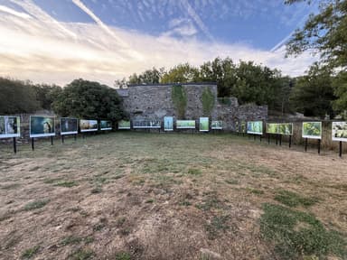 Une exposition de photos en plein air au crépuscule.
