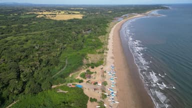 Une vue aérienne d'une plage avec des bateaux et des paysages verdoyants.