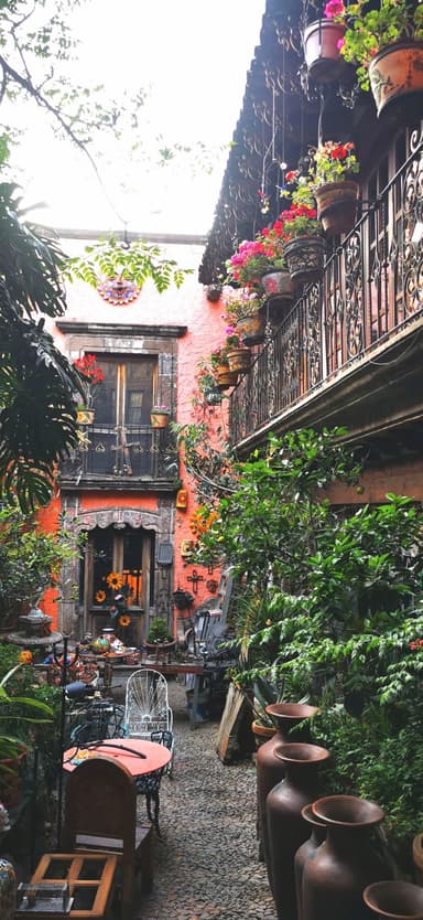 Un jardin coloré avec des fleurs et des pots à Guanajuato.