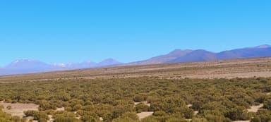 Un paysage désertique avec des montagnes au loin sous un ciel bleu.