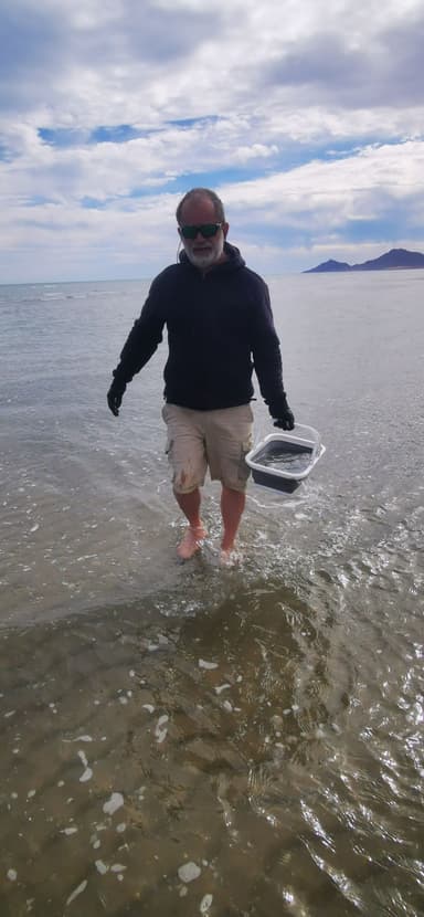 Un homme marchant dans l'eau peu profonde à Baja California.