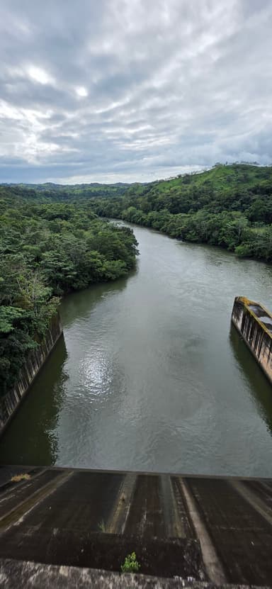 Une vue d'une rivière entourée de verdure sous un ciel nuageux.