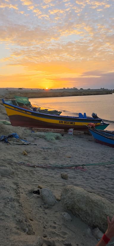 Des bateaux colorés au bord de l'eau au coucher du soleil.